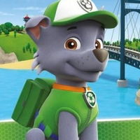 Paw Patrol: Pups Save The Day