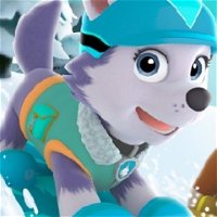 Jogos da Patrulha Canina para Colorir no Jogos 360