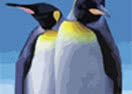 Penguinoids