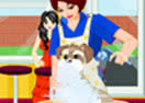 Pet Salon
