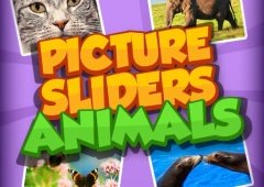 Picture Slider Animals