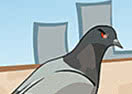 Pigeons Revenge
