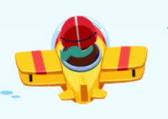 Pilot Training