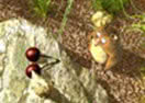 Ping Ping Hamster