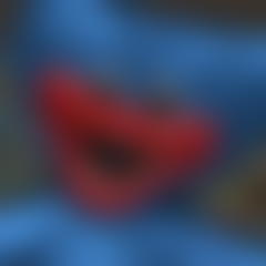 Poppy Survive Time: Huggy Wuggy