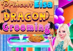 Princess Elsa Dragon Grooming