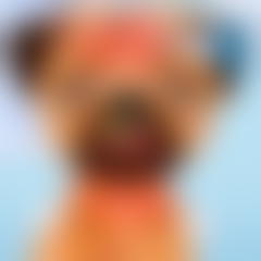 Princesses Puppy Care