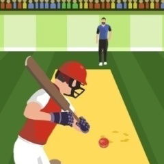 Pro Cricket Champion