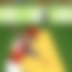 Pro Cricket Champion