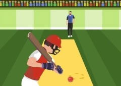 Pro Cricket Champion