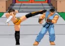 Pro Fighting Combat
