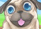 Pug the Dog