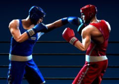 Punchers