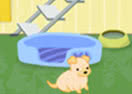 Puppy Academy