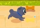 Puppy Dog Pals: Obstacle Run