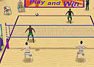 Summer Sports: Volleyball