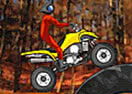 Quad Extreme Racer