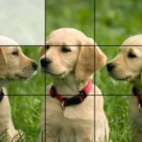 Jogos de Quebra Cabeça de Animais no Jogos 360