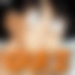 Quiz Dragon Ball Z: Conhece bem o Goku?