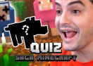Quiz Felipe Neto: Quem é você na Saga Minecraft?