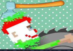 Ragdoll Randy