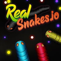 Real Snakes.io