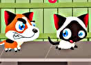 Run, Kitty, Run!