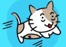 Save The Cat
