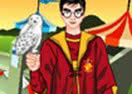 Say the Magic Words Harry!