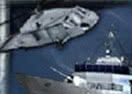 Sea Hawk