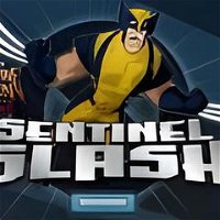 Sentinel Slash