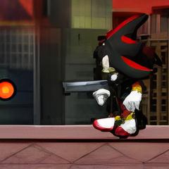 Shadow. The Hedgehog Flash