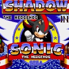 Shadow the Hedgehog in Sonic 1