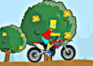 Simpson Bike