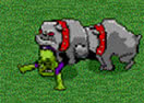 Skeleton Park
