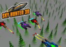 Sky Hunter 3D