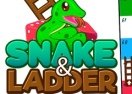 Snakes and Ladders: The Game