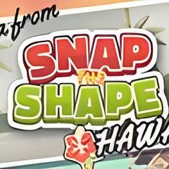 Snap The Shape: Hawaii