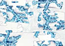 Snowflake Puzzle