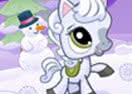 Snowy Pony