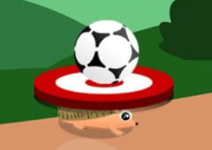 Soccer Target