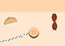 Sombrero Sledge Hammer