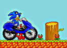 Sonic Enduro Race