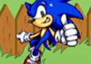 Sonic in the Garden