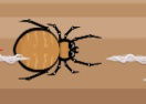Spider Fighting