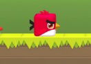 Square Bird