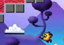 Squawk