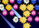 Star Gazer