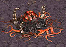 Starcraft 5