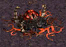 Starcraft FA 5